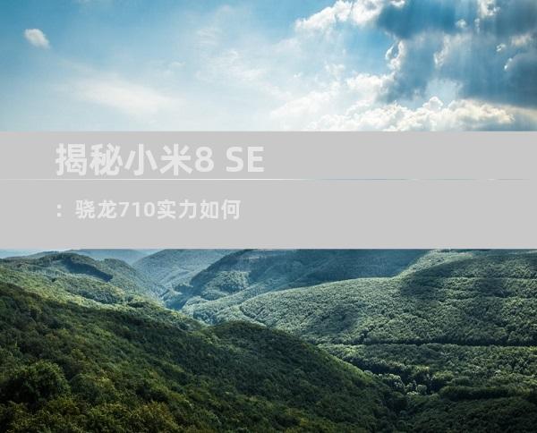 揭秘小米8 SE：骁龙710实力如何